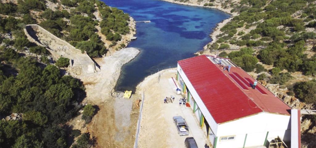 Στο Καταφύγιο Θαλάσσιας Ζωής Αιγαίου η Βασίλισσα Σοφία της Ισπανίας Στο Καταφύγιο Θαλάσσιας Ζωής Αιγαίου η Βασίλισσα Σοφία της Ισπανίας